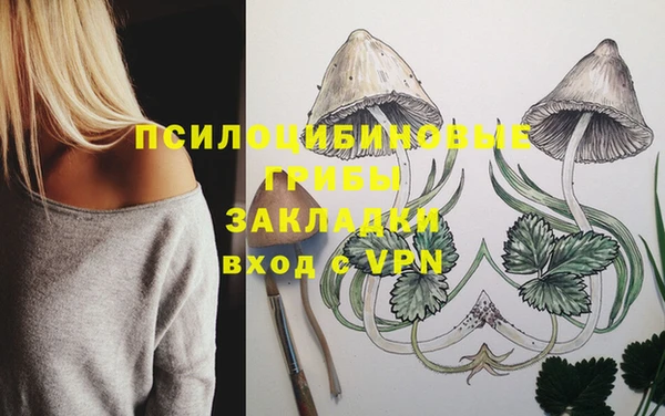 шишки Нея