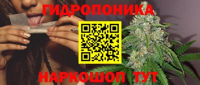 jwh Лесосибирск