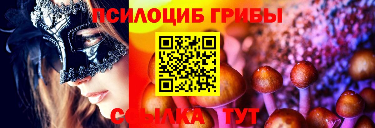 Галлюциногенные грибы GOLDEN TEACHER Красногорск